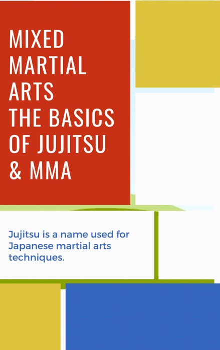 Mixed Martial Arts The Basics Of Jujitsu And MMA
