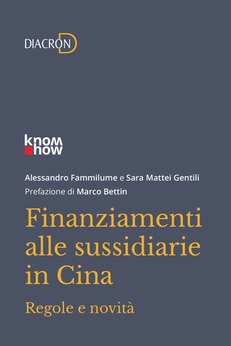 Finanziamenti alle sussidiarie in Cina