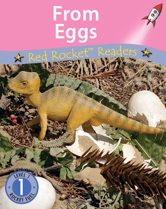 From Eggs (Readaloud)