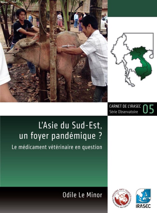 L’Asie du Sud-Est, un foyer pandémique ?