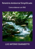 Relatório Ambiental Simplificado - Luiz Antonio Sgarabotto