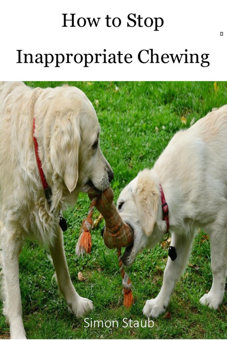 How to Stop Inappropriate Chewing