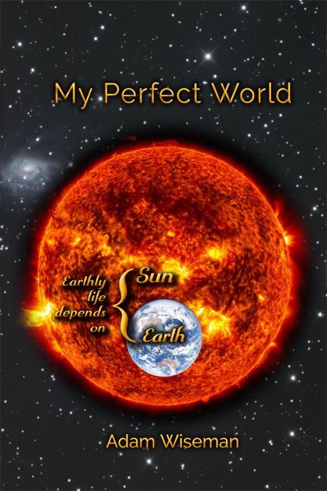 My Perfect World