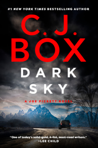 Dark Sky Book Cover