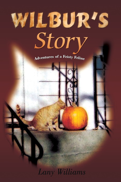 Wilbur's Story