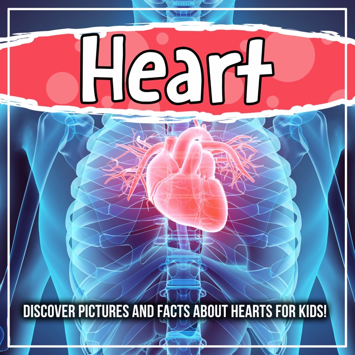 Heart: Discover Pictures and Facts About Hearts For Kids!