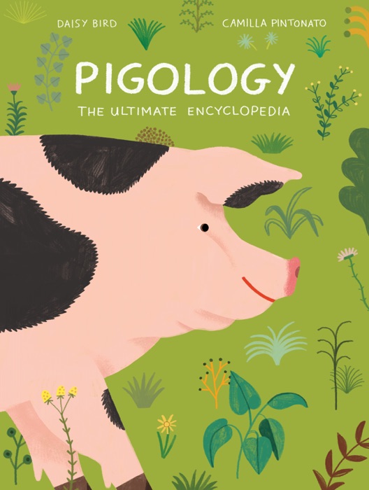 Pigology