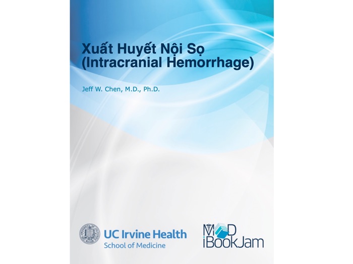 Intracranial Hemorrhage (Vietnamese)