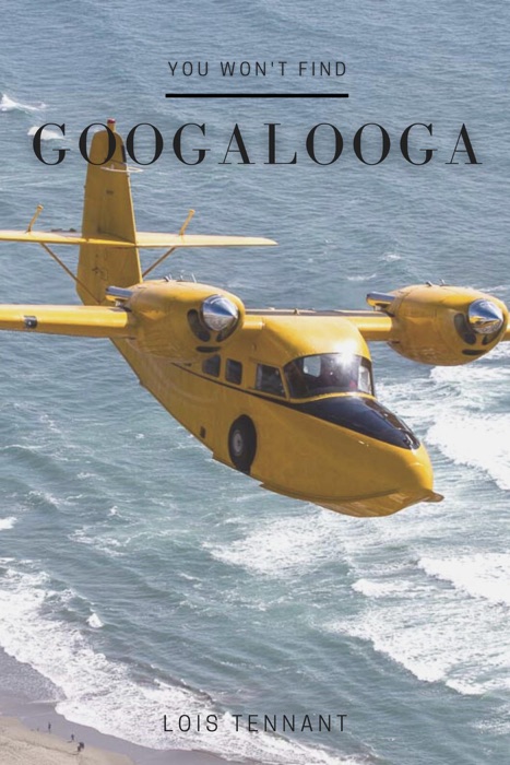 You won't find Googalooga