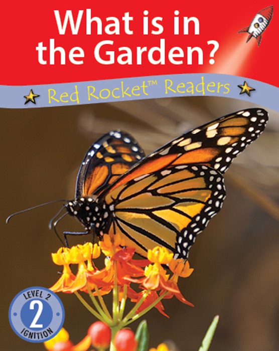 What is in the Garden? (Readaloud)