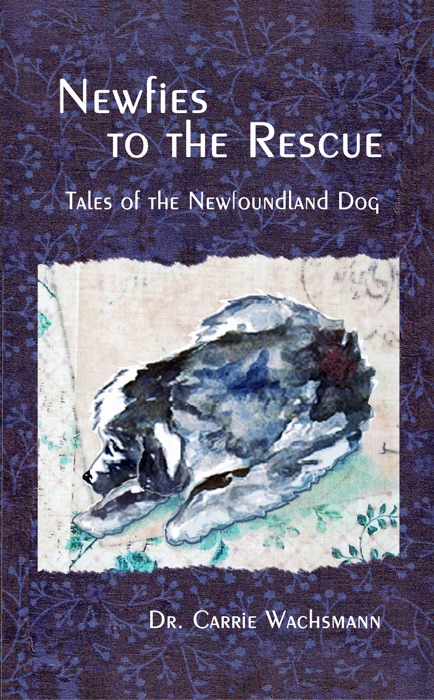 Newfies to the Rescue: Tales of the Newfoundland Dog