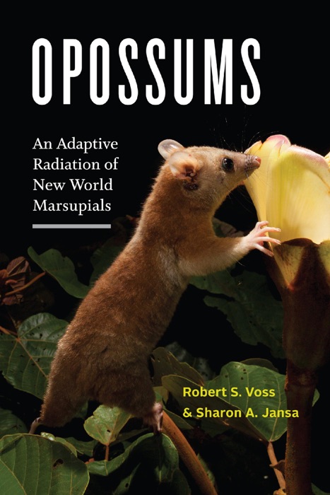 Opossums