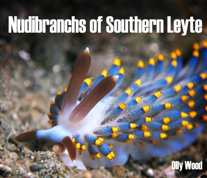 Nudibranchs of Southern Leyte