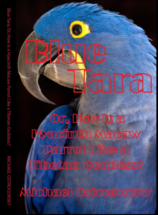 Blue Tara; Or, How Is a Hyacinth Macaw Parrot Like a Tibetan Goddess?