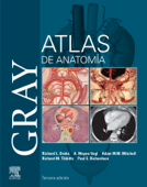 Gray. Atlas de Anatomía - Richard L. Drake, A. Wayne Vogl PhD, & Adam M.W. Mitchell