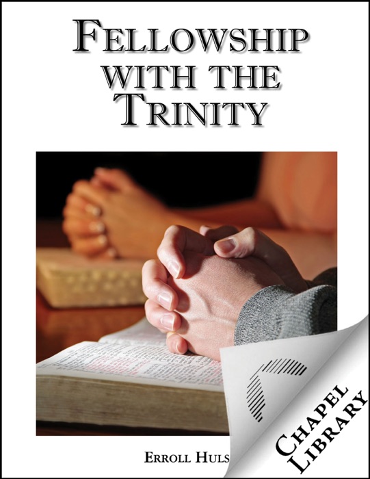 Fellowship with the Trinity