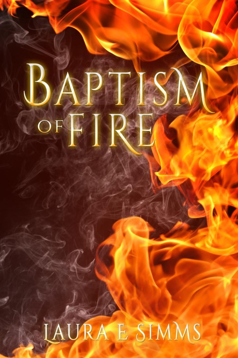 Baptism of Fire (DI Joseph Hunter Saga, #2)