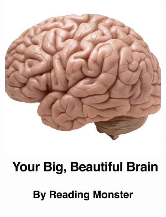 Your Big, Beautiful Brain