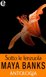 Sotto le lenzuola - Antologia (eLit)