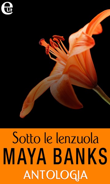 Sotto le lenzuola - Antologia (eLit)