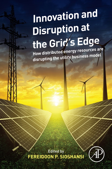 Innovation and Disruption at the Grid’s Edge (Enhanced Edition)