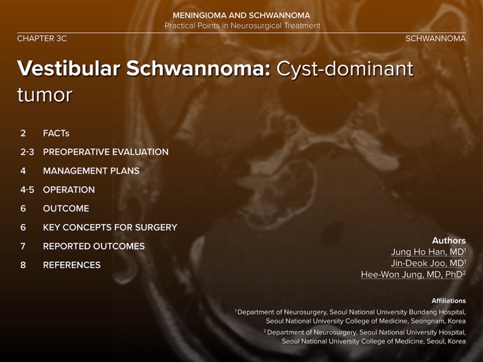 Vestibular Schwannoma: Cyst Dominant