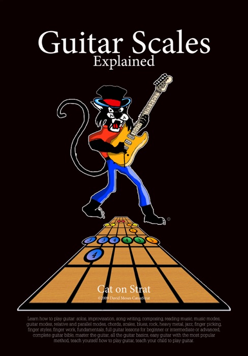 Cat on Strat Guitar Scales Explained