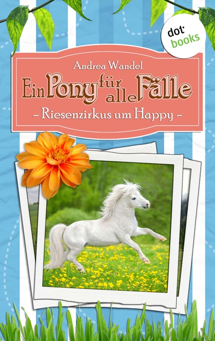 Ein Pony für alle Fälle - Siebter Roman: Riesenzirkus um Happy