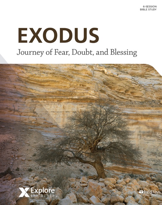 Explore the Bible: Exodus Bible Study eBook