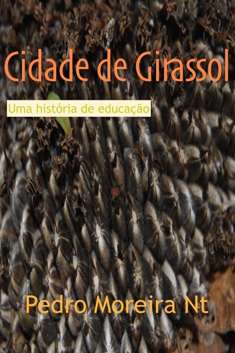 Cidade de Girassol