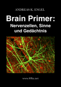 Brain Primer: Nervenzellen, Sinne und Gedächtnis - Andreas K. Engel