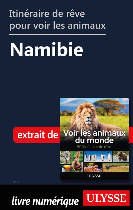 Itinéraire de rêve pour voir les animaux -  Namibie