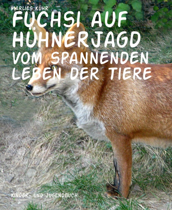 Fuchsi auf Hühnerjagd