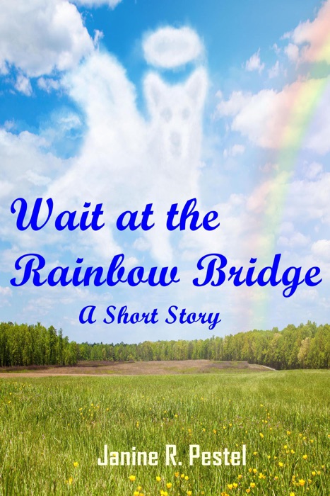 Wait at the Rainbow Bridge