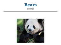 Bears Information Report
