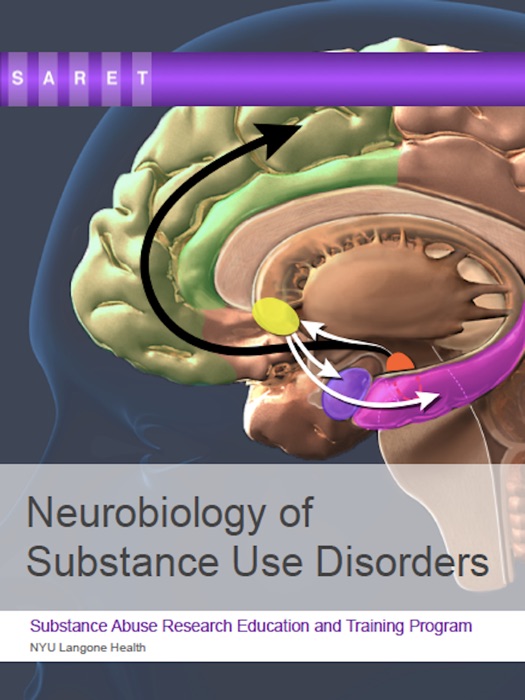 Neurobiology of Substance Use Disorders
