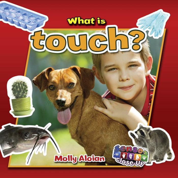 What is touch?