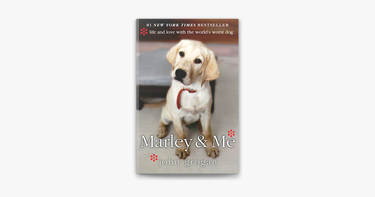 what happened to the dog in marley and me