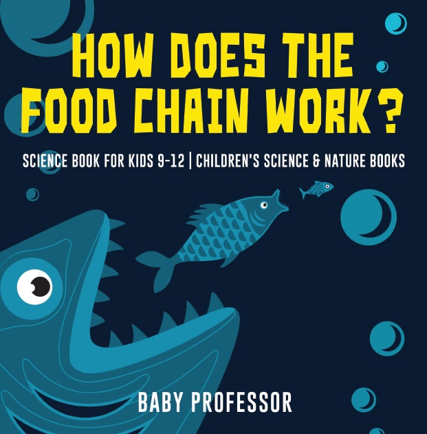 How Does the Food Chain Work? - Science Book for Kids 9-12  Children's Science & Nature Books