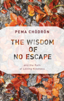 Pema Chödrön - The Wisdom of No Escape artwork