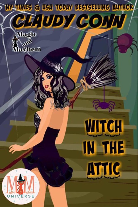Witch in the Attic: Magic and Mayhem Universe