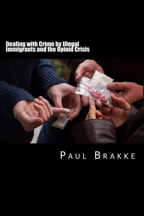 Dealing with Crime by Illegal Immigrants and the Opioid Crisis