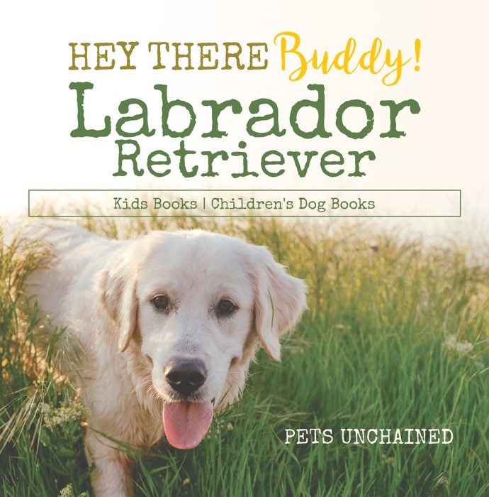 Hey There Buddy!  Labrador Retriever Kids Books  Children's Dog Books