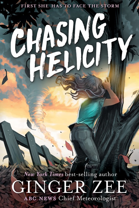 Chasing Helicity