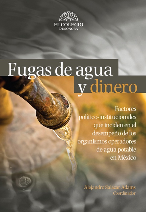 Fugas de agua y dinero