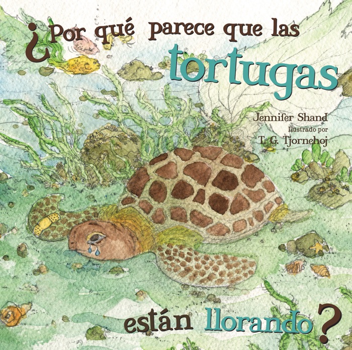 Por qué parece que las tortugas están llorando?