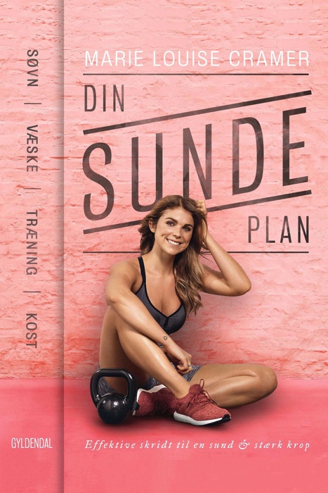 Din sunde plan