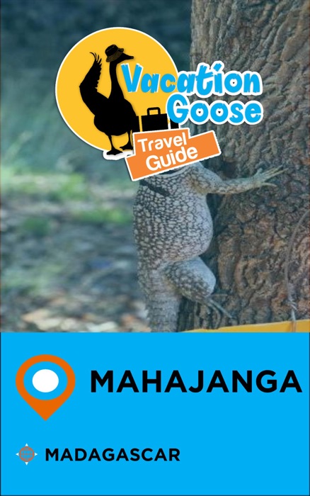 Vacation Goose Travel Guide Mahajanga Madagascar