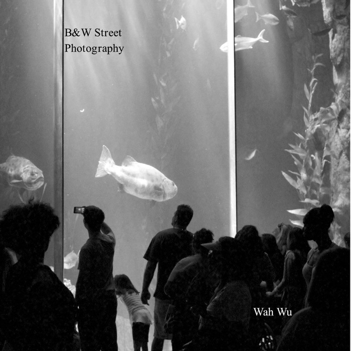 Black and White Street Photography