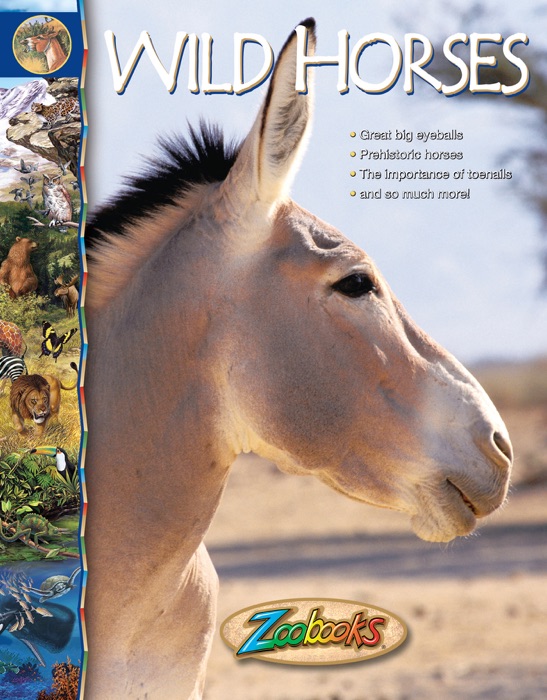 Zoobooks Wild Horses